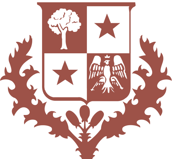 Kindersneaker Tennis Walk